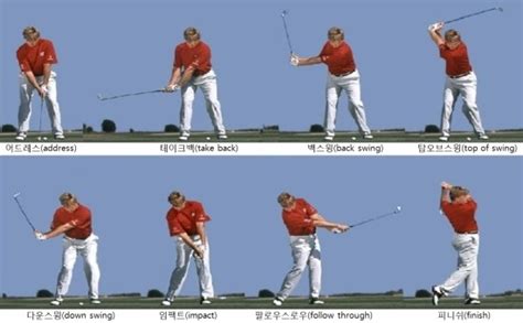 골프 스윙 단계